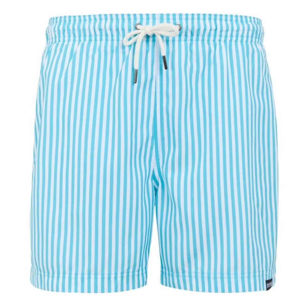 Regatta Mens Loras Striped Swim Shorts / Aquarius Blue